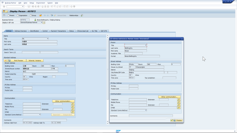 SAP Business Partner Screenshot, Chinese to latin